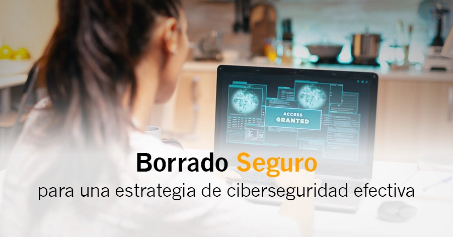 blog borrado seguro